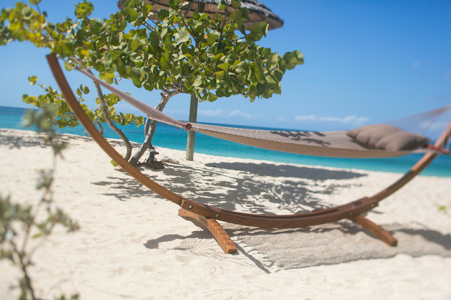 Moucha Islands, Djibouti